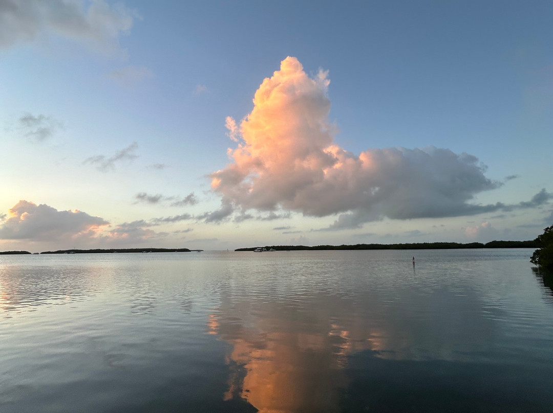 JSK Watersports-Tavernier必去景点
