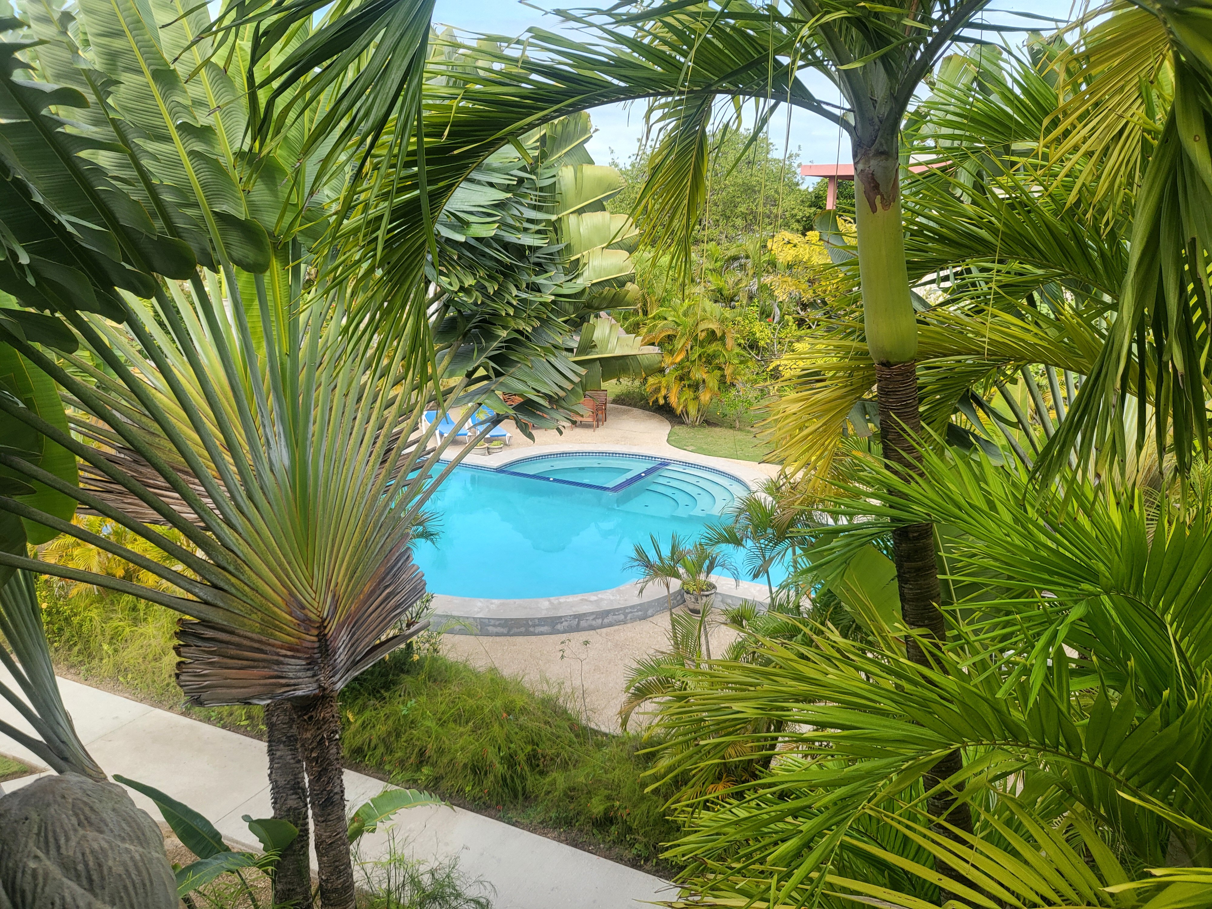 Almond Tree Hotel Resort-泳池