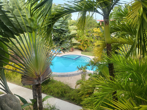 Almond Tree Hotel Resort主图