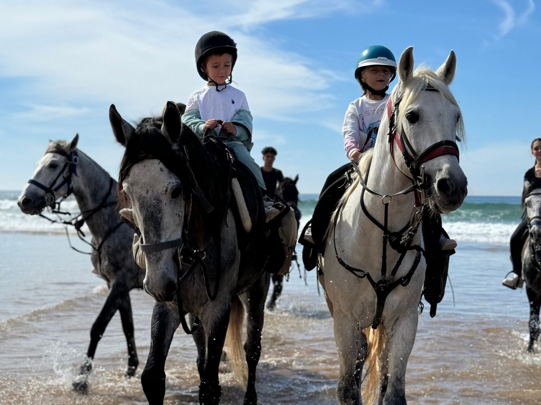Ranch Berbère À Sidi Kaouki - Essaouira-Sidi Kaouki必去景点