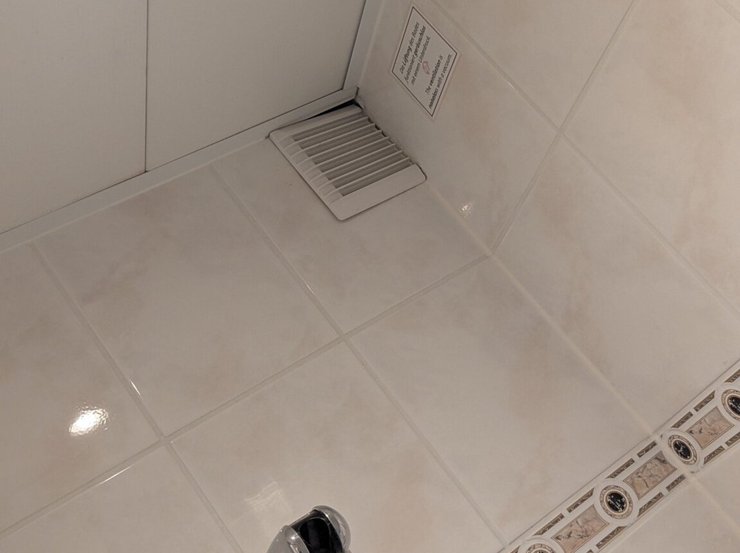 Seehotel Schwanenhof主图