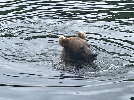 Fishology Alaska-索尔多特纳必去景点