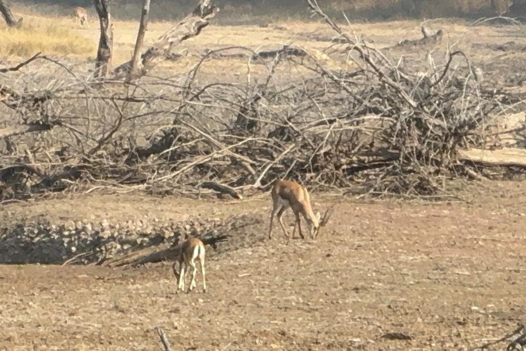 Fragrance of Taj Tours-阿格拉必去景点
