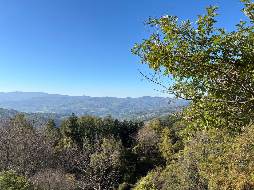 Parco Nazionale delle Foreste Casentinesi, Monte Falterona e Campigna景点图片