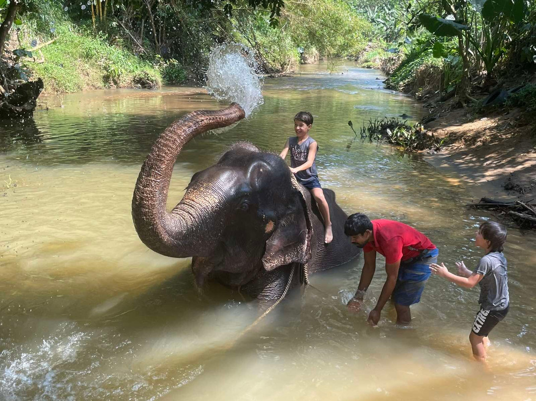 Tours In Sri Lanka By Ceylon Treks景点图片