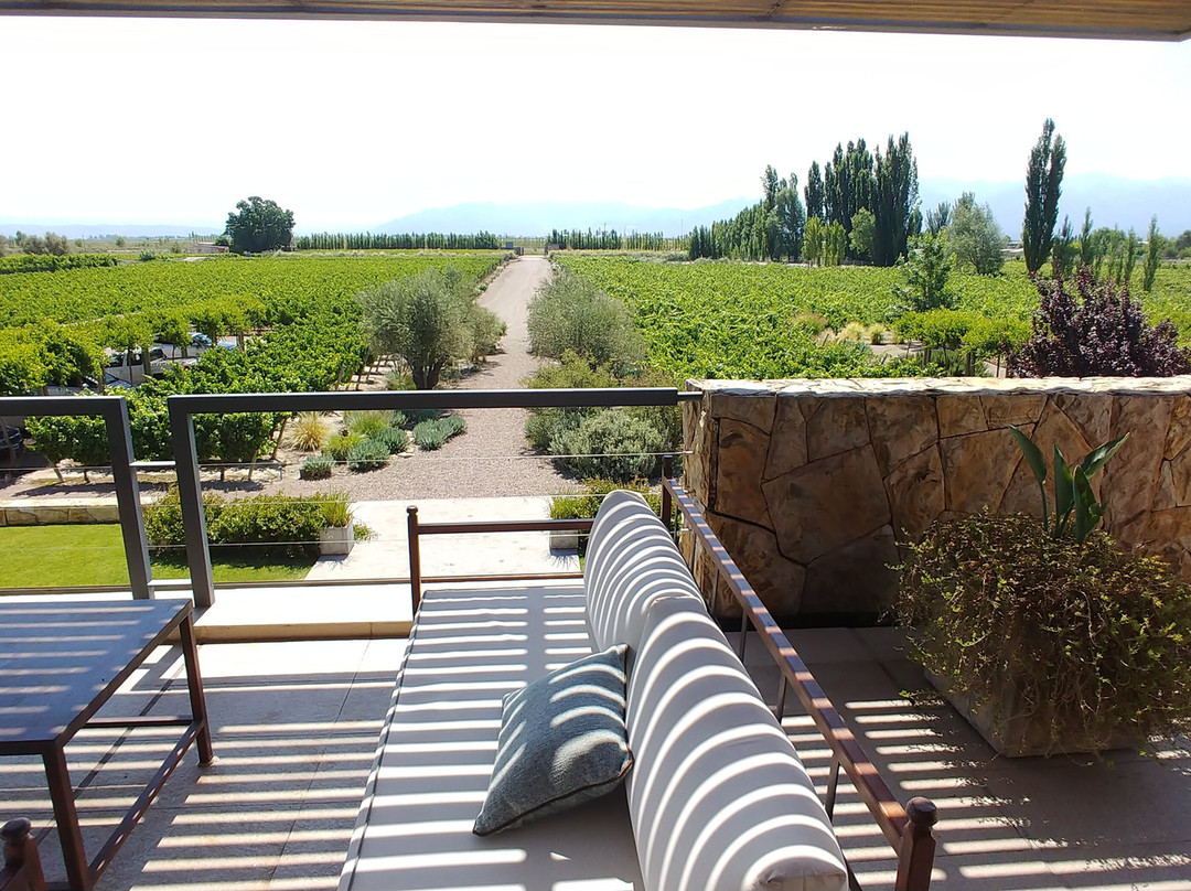 Borravino Wine Tours Spain-毕尔巴鄂必去景点