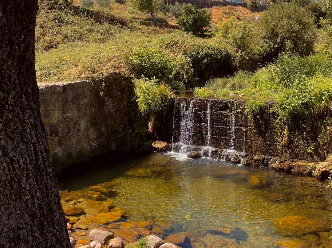 Praia Fluvial de Castelo Novo景点图片