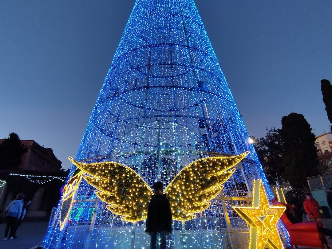 Bosc Encantat-加瓦必去景点