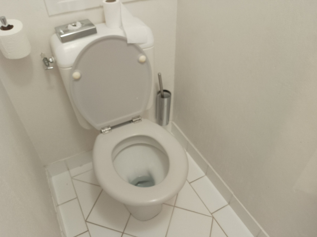 卡尔加里酒店主图