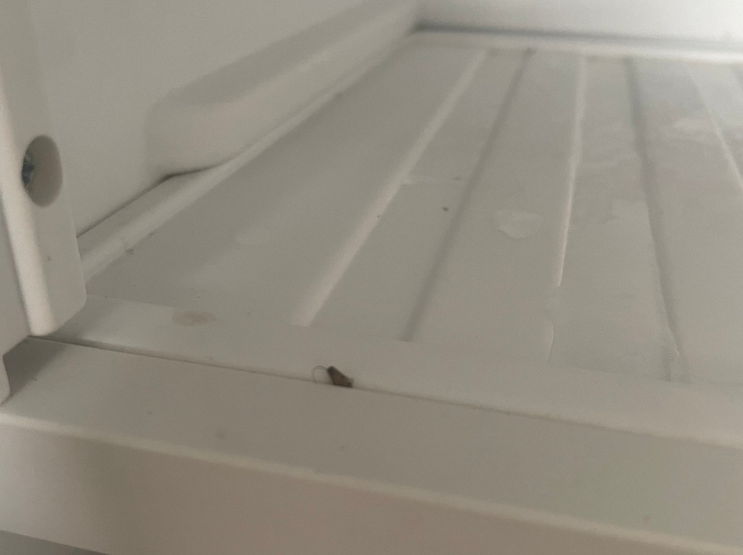 Holiday Inn Express Williamston By IHG主图