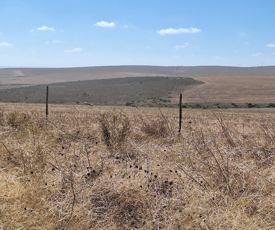 Sijnn Winery-Malagas必去景点