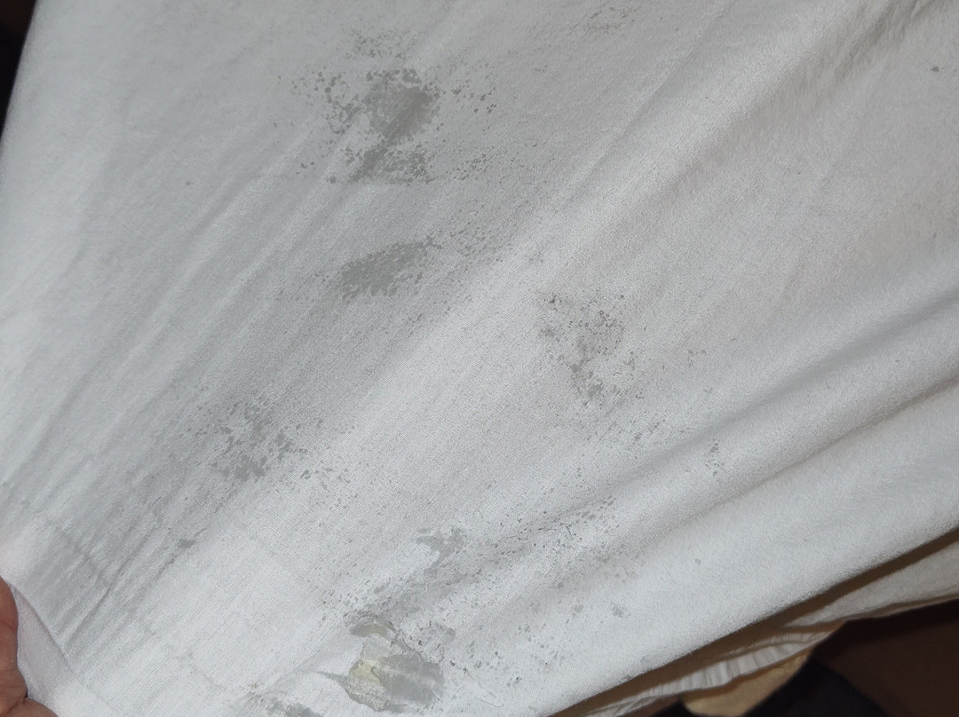 Best Western Plus Newark/christiana Inn主图