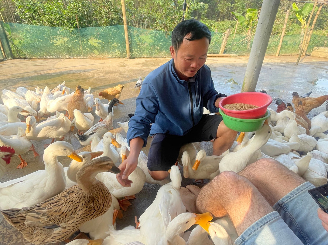 Tang's Farm Quang Binh景点图片