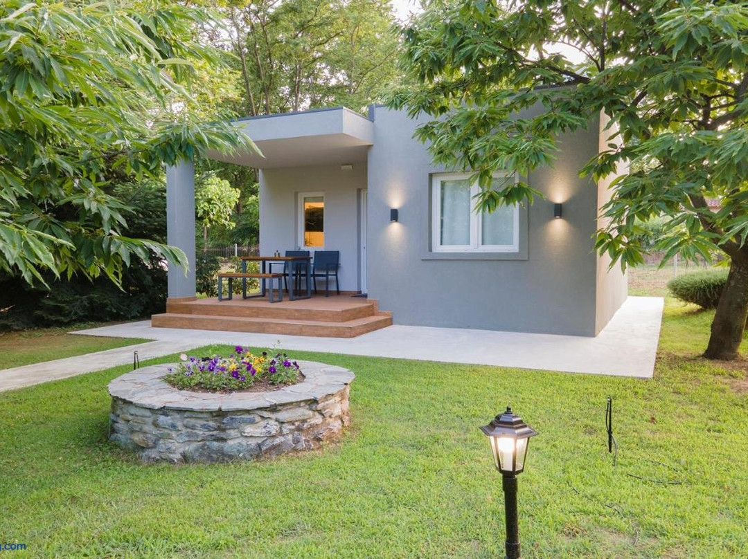 Elena Luxury Living