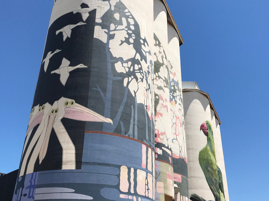 Waikerie Silo Art景点图片
