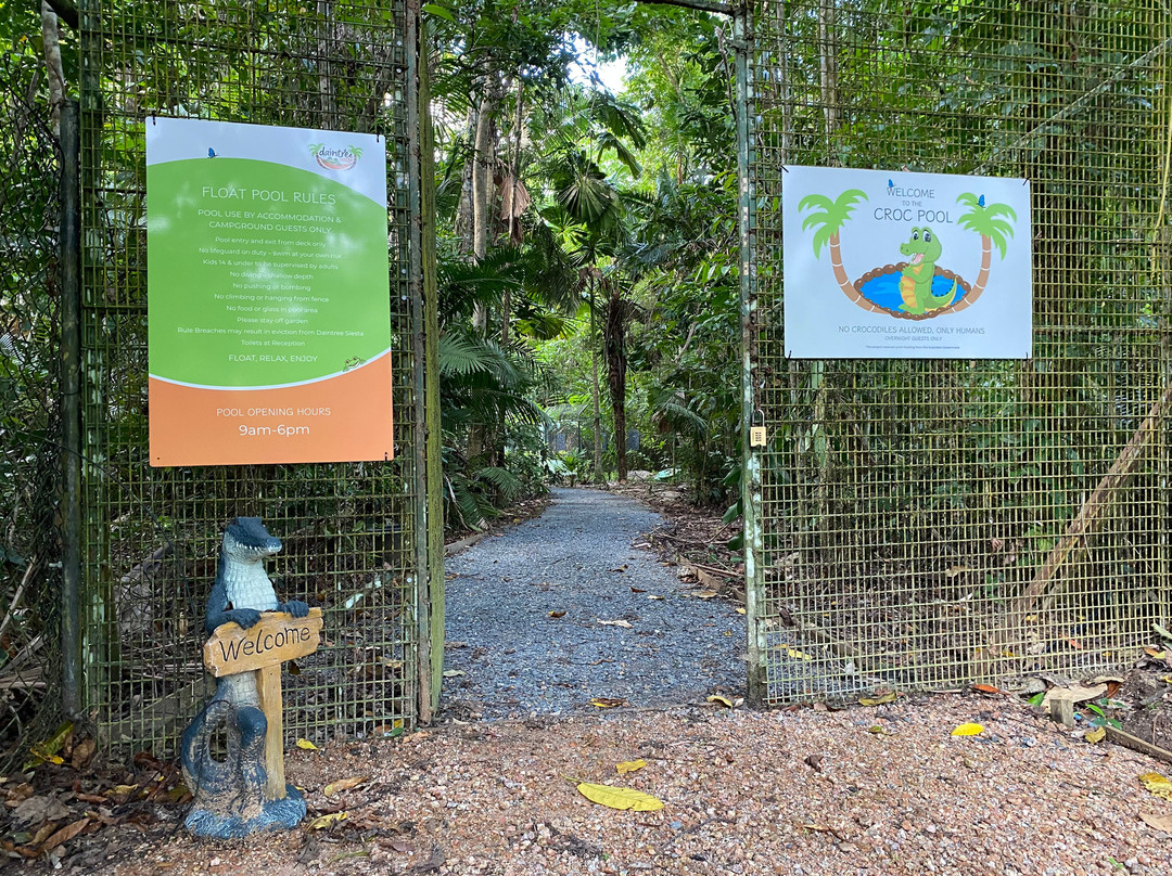 Daintree Siesta主图