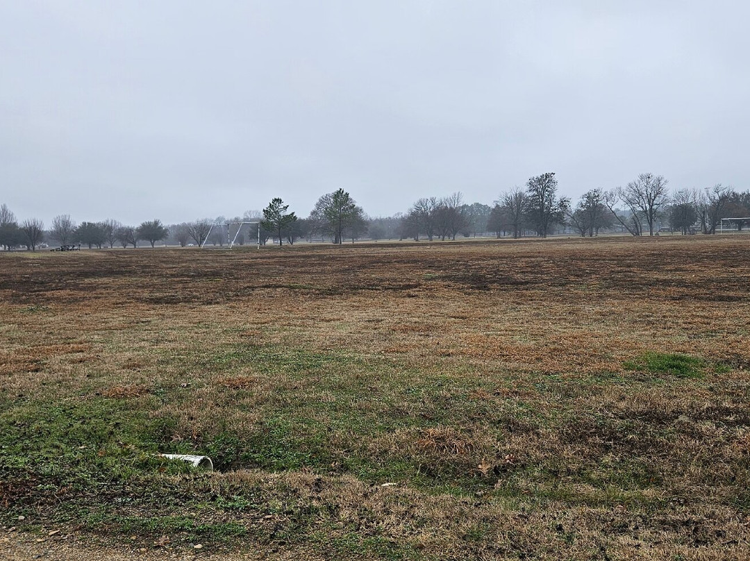 Dragon Park-巴黎必去景点