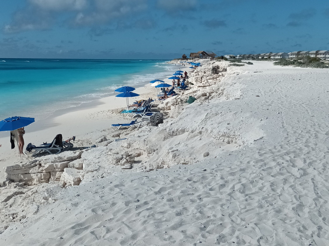 Starfish Cayo Largo主图