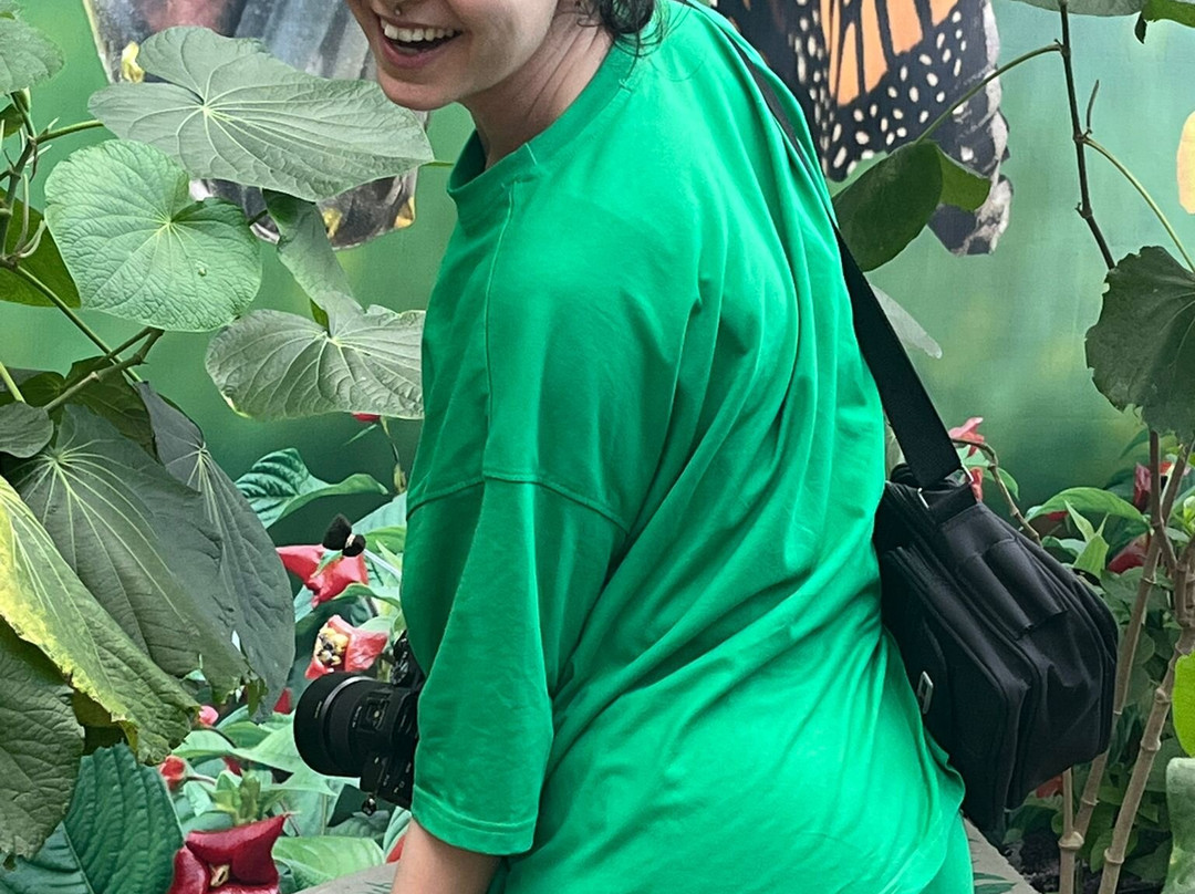 Butterfly Kingdom景点图片