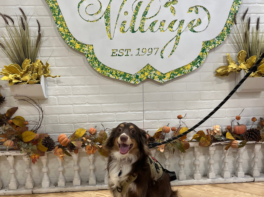 Spice Village-韦科必去景点