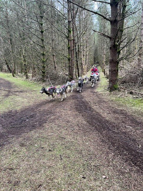 Bowland Trails-Blairgowrie必去景点