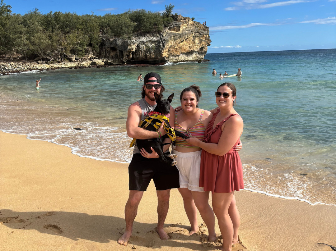 Kauai Humane Society-利胡埃必去景点