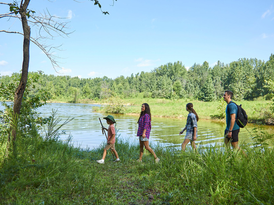 Barren River Lake State Resort Park-Lucas必去景点