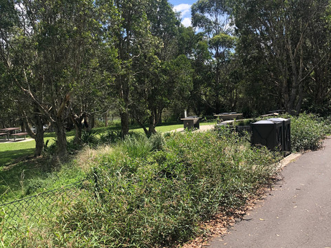 Sydney Park Picnic Tables-Alexandria必去景点