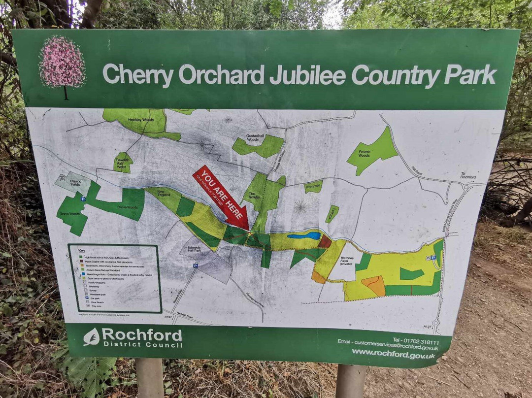 Cherry Orchard Jubilee Country Park景点图片
