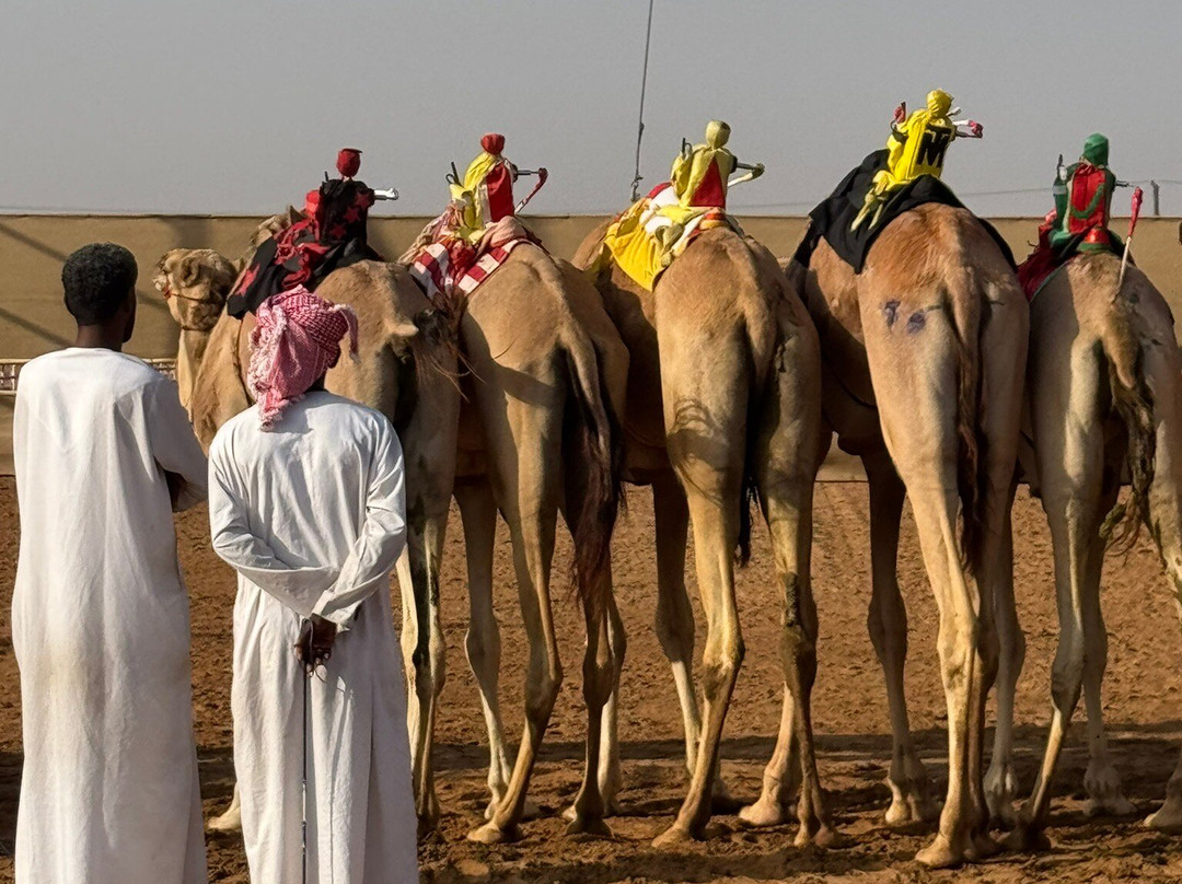 Al Sawan Camel Track-哈伊马角必去景点