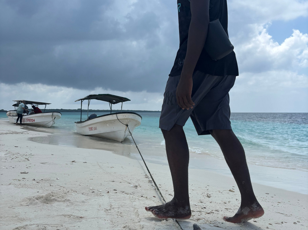 Ethical Dolphin Tours - Kizimkazi, Zanzibar-Kizimkazi必去景点