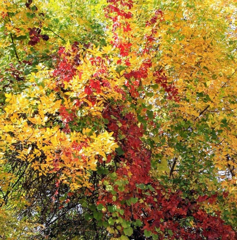 Lake Shetek State Park-Currie必去景点