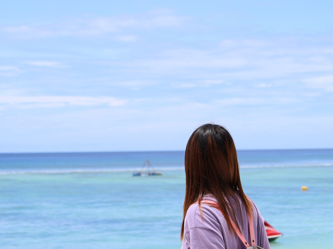 呼尔胡维拉海滩椰子树酒店主图