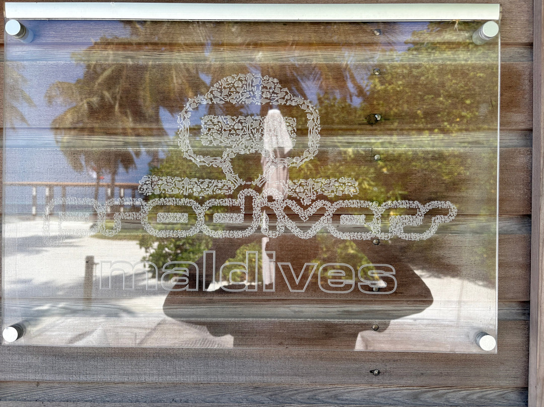 Prodivers Maldives景点图片