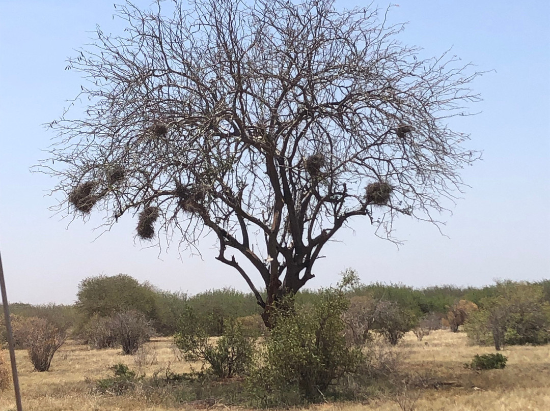 Nayl Safari Kenya-瓦塔木必去景点