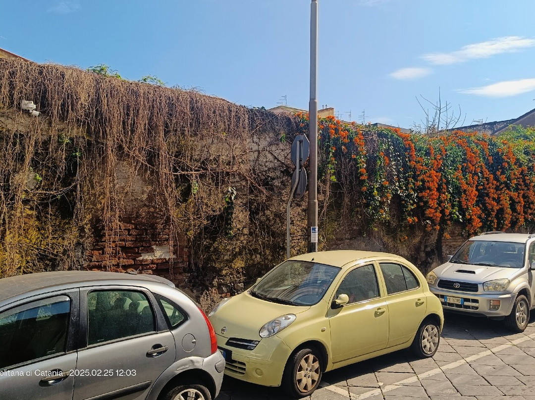 La Baronessa B&B主图