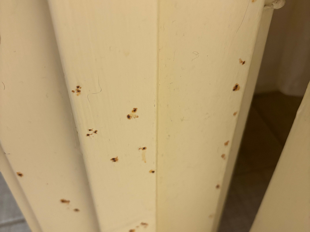 卢顿红顶客栈主图