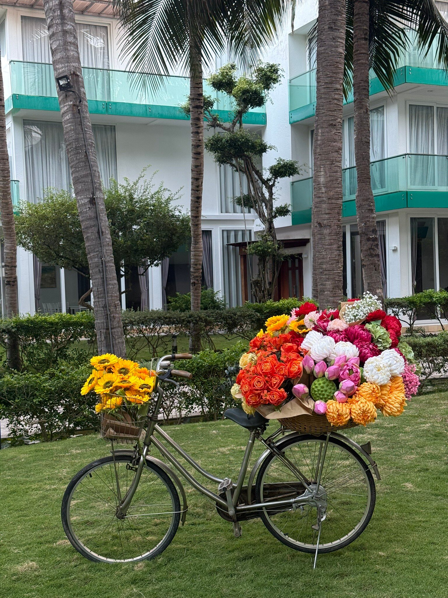 Villa Del Sol Beach Resort & Spa-官方