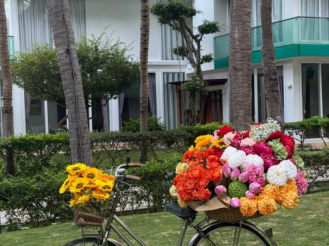 Villa Del Sol Beach Resort & Spa主图