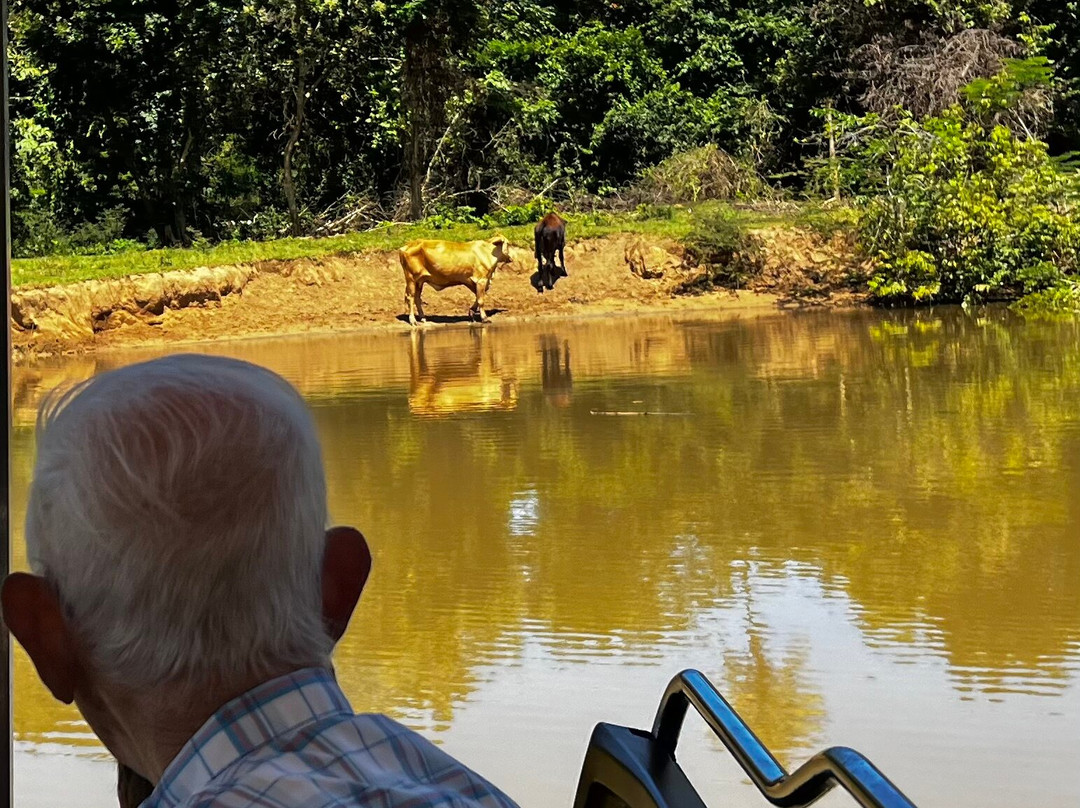 La Paseadora del Río Espíritu Santo-Rio Grande必去景点