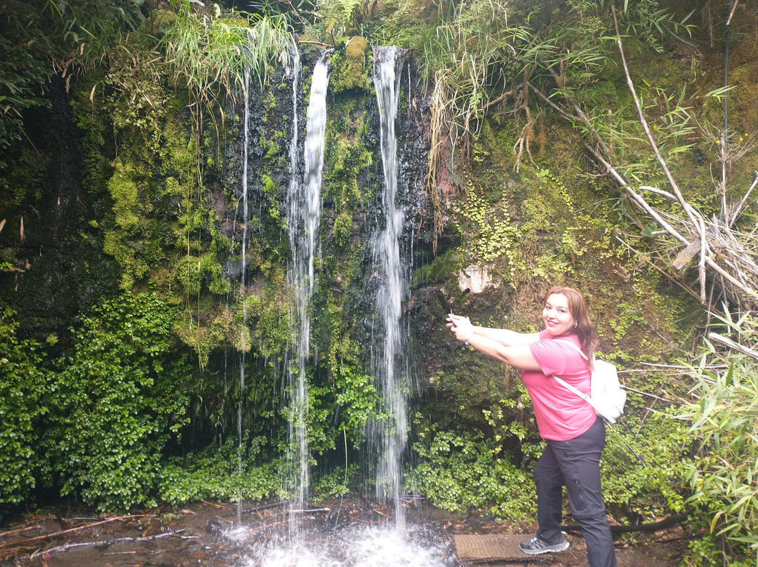 Lemuy Island-奇洛埃岛必去景点