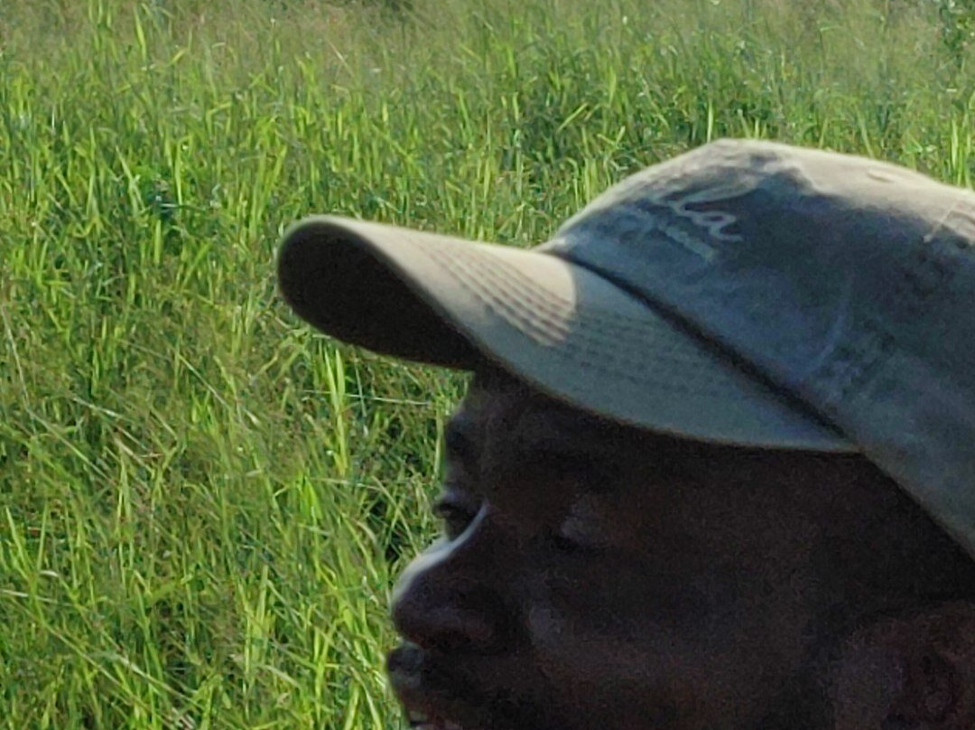 Bayala Private Safari Lodges主图