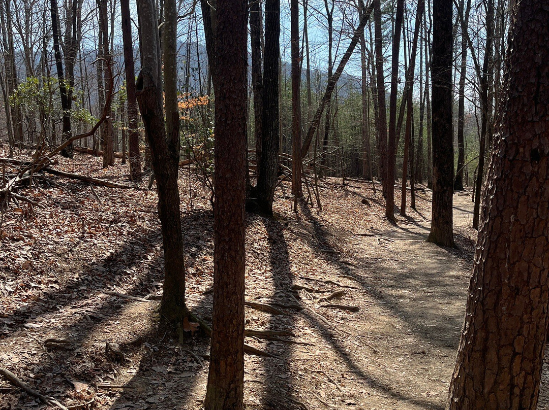 Yonah Mountain Hiking Trail-海伦必去景点