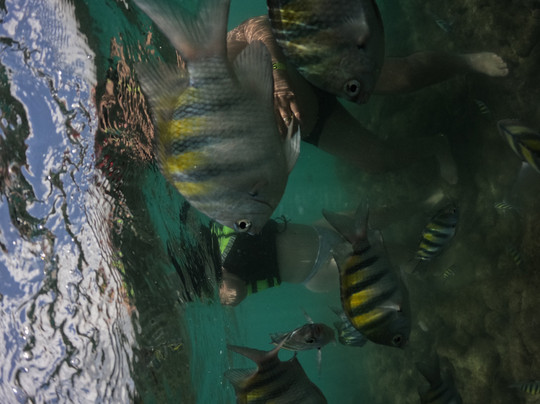 Mergulhos Aquamarina-嘎林海斯港必去景点