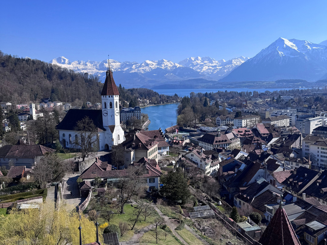 Typically Swiss Tours-卢塞恩必去景点