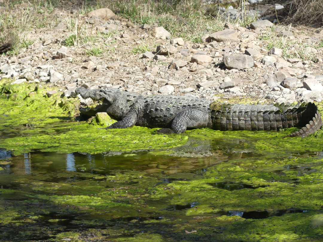 Wildlife Expeditions India景点图片