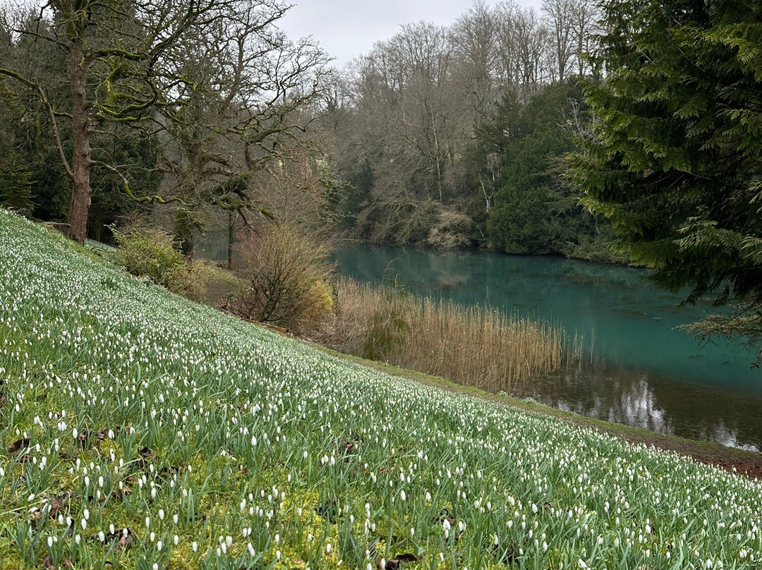 Colesbourne Park景点图片