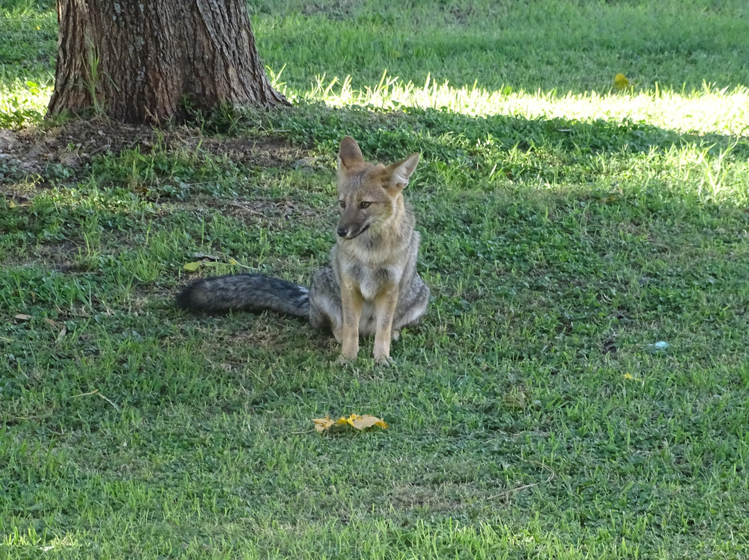 Altos del Sol - Spa & Resort主图