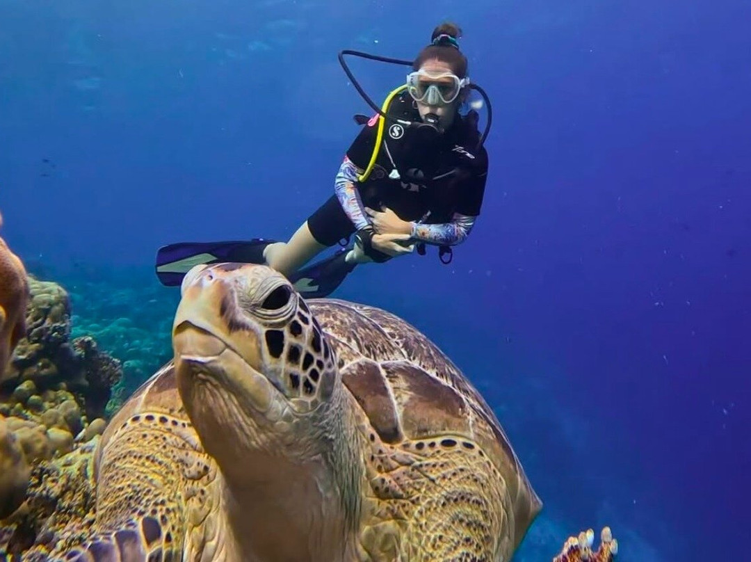 Ocean Mantra Retreats景点图片
