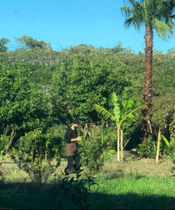 작제도 제주공항점餐厅图片